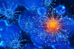Le cellule immunitarie devono rimanere vigili anche quando non c'è un attacco in corso (fonte: freepik)